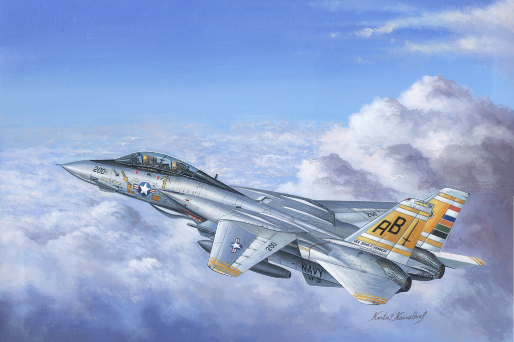 F-14 Tomcat